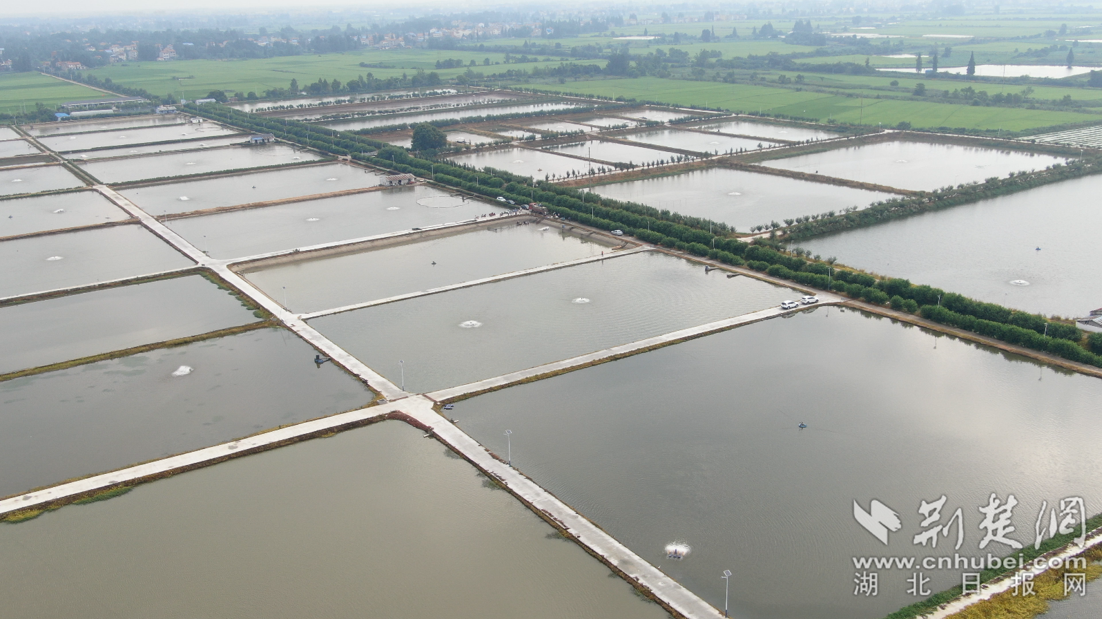 云夢(mèng)縣沙河鄉(xiāng)北湖垸水產(chǎn)養(yǎng)殖基地.png.png