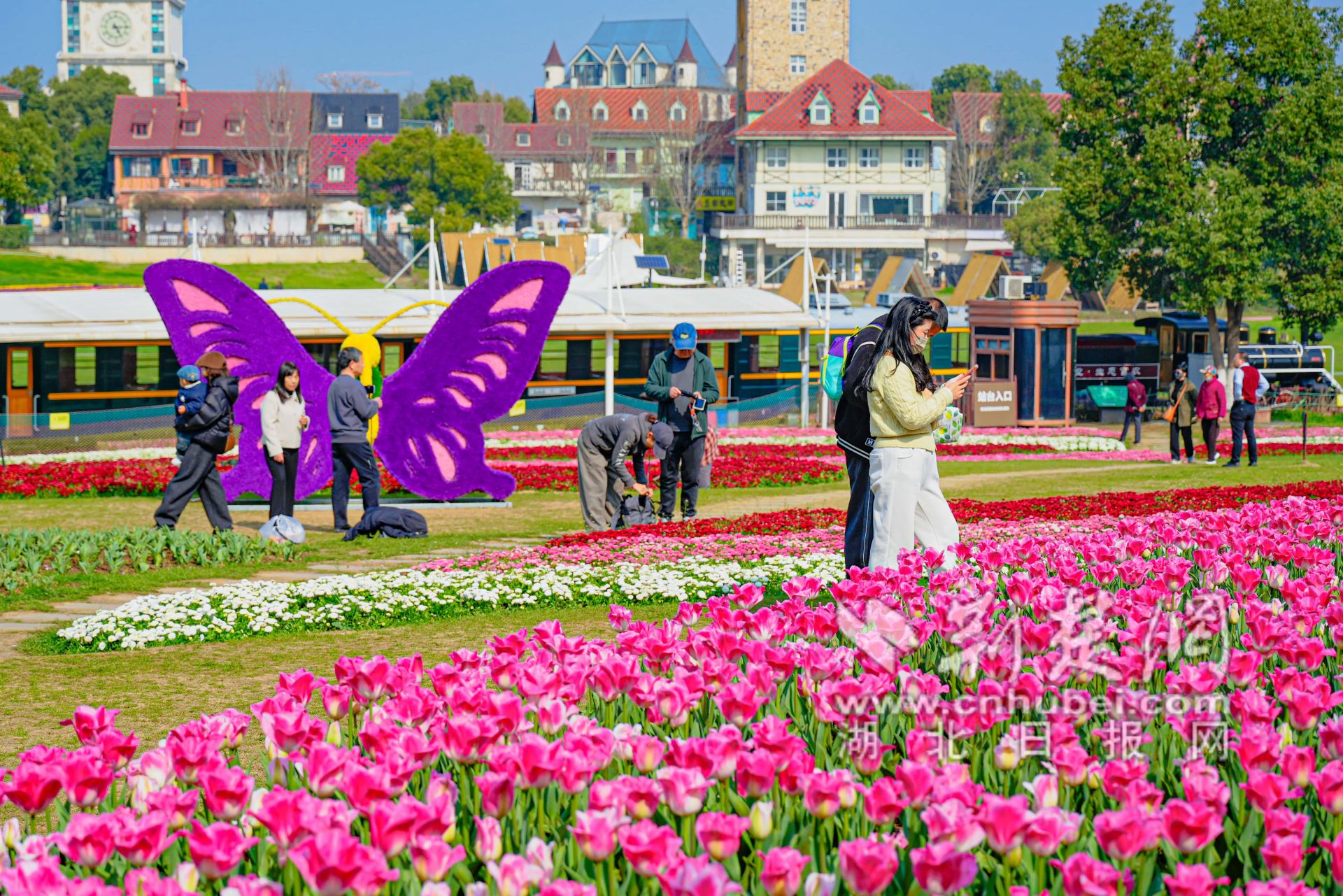 002.jpg.jpg